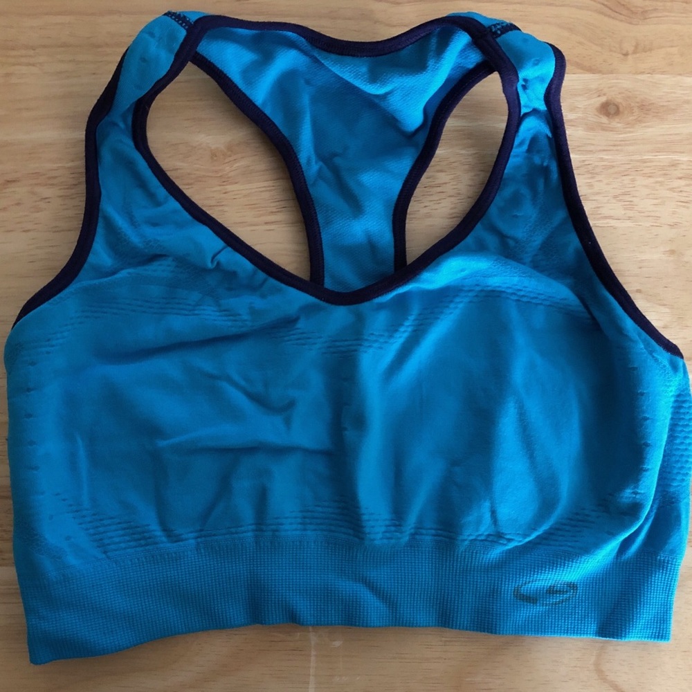 Champion Sports Bra (Blue)